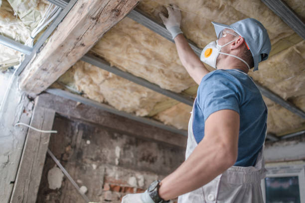 Reliable Poplar Grove, IL Insulation Contractor Solutions